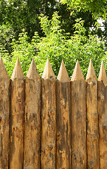 Image showing fence and trees