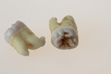 Image showing third molars