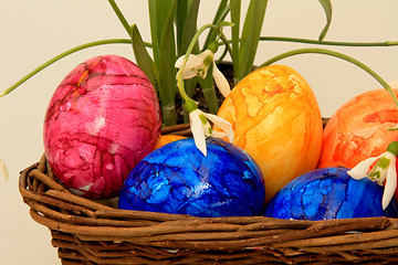 Image showing Easter Eggs