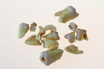 Image showing third molars