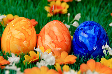 Image showing Easter Eggs