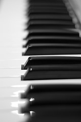 Image showing Piano Keys 