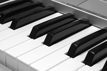 Image showing Piano Keys