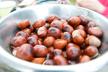 Image showing autumn chestnuts
