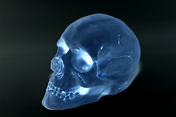 Image showing Skull