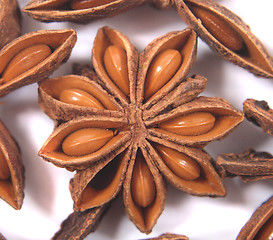 Image showing anise star