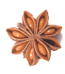 Image showing anise star