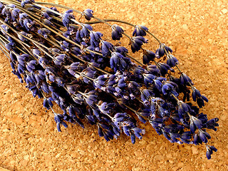 Image showing lavender