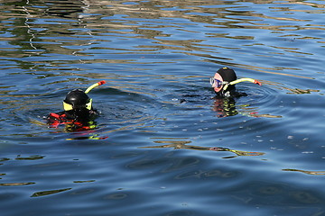 Image showing Divers