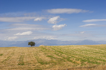 Image showing Spain landscape