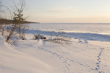 Image showing frozen sea