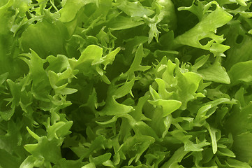 Image showing Lettuce