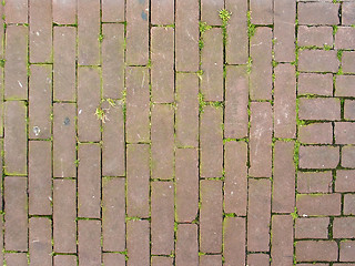 Image showing pattern of bricks and grass