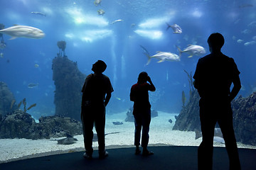 Image showing people in oceanarium