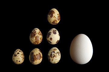 Image showing small and big eggs