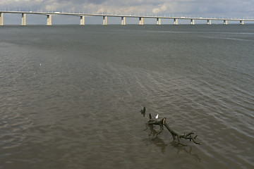 Image showing Golden Gate of Lisbon