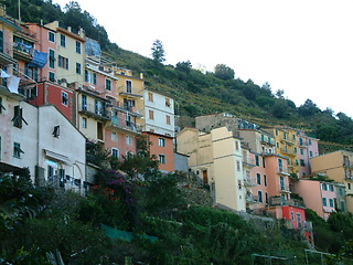 Image showing 5 terre - liguria - Italy