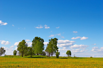 Image showing summer day