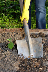 Image showing digging by shovel