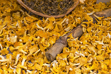 Image showing chanterelles at market