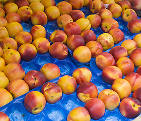 Image showing nectarines at market