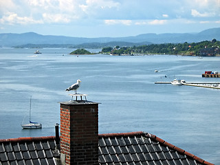 Image showing Oslo fjord