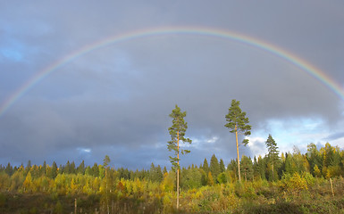 Image showing rainbow