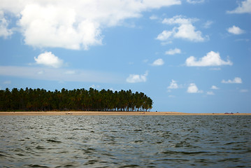 Image showing Tropical beach in Brazil 