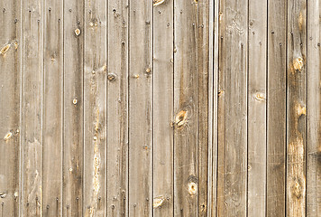 Image showing wood panel background