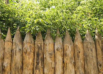Image showing wooden fence and trees