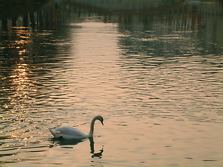 Image showing reflecting himself