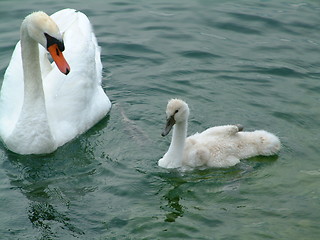 Image showing mother & son