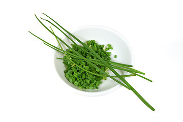 Image showing Diced Chives