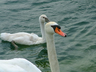 Image showing mum & me