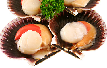 Image showing Fresh Scallops