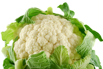 Image showing Fresh Cauliflower 4