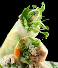 Image showing Vietnamese Spring Rolls