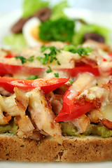 Image showing Chicken Open Grill Sandwich