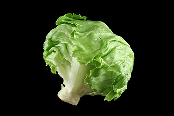 Image showing Lettuce 1