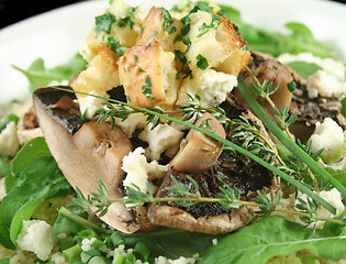 Image showing Mushrooms With Ricotta