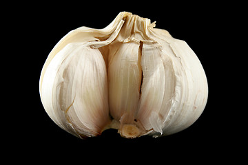 Image showing Fresh Garlic 1