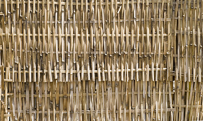 Image showing bamboo fence