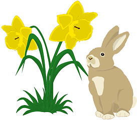 Image showing Easter bunny with daffodils