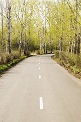 Image showing forest road