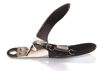 Image showing pet clippers