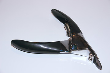 Image showing pet clippers