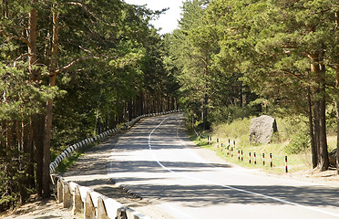 Image showing road and forest 