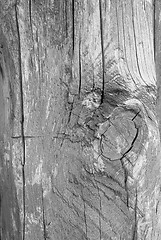 Image showing wooden texture