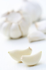 Image showing garlic