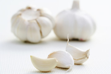 Image showing garlic